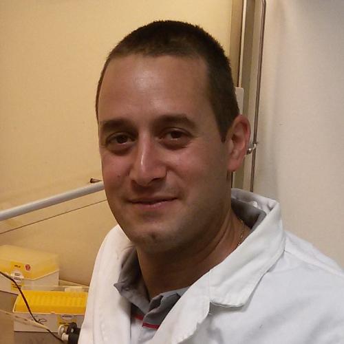 Marco Milanese