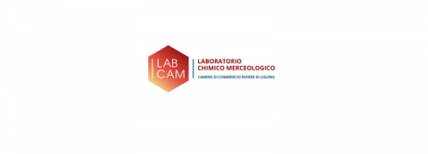 Labcam logo